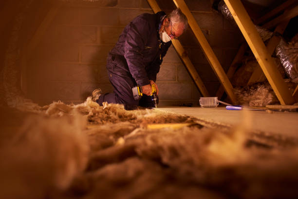 Best Types of Insulation in Aiea, HI